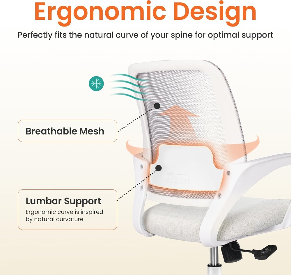 Sedia da Ufficio Ergonomica co - Task Chair Mid Back recensione e prezzo